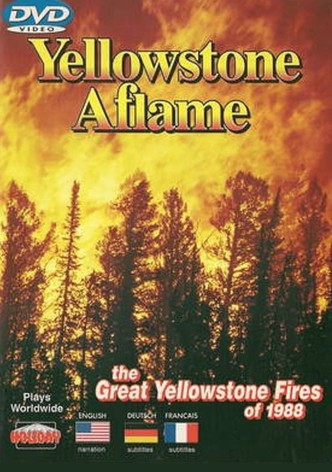 Yellowstone Aflame