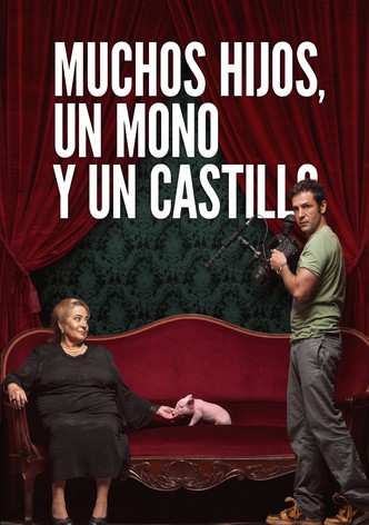 Muchos hijos, un mono y un castillo