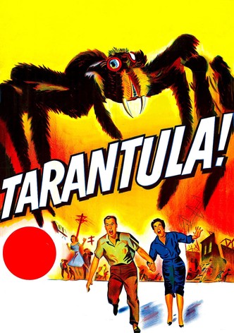 Tarantula !