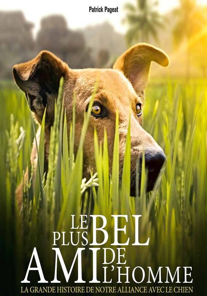 Man’s First Friend