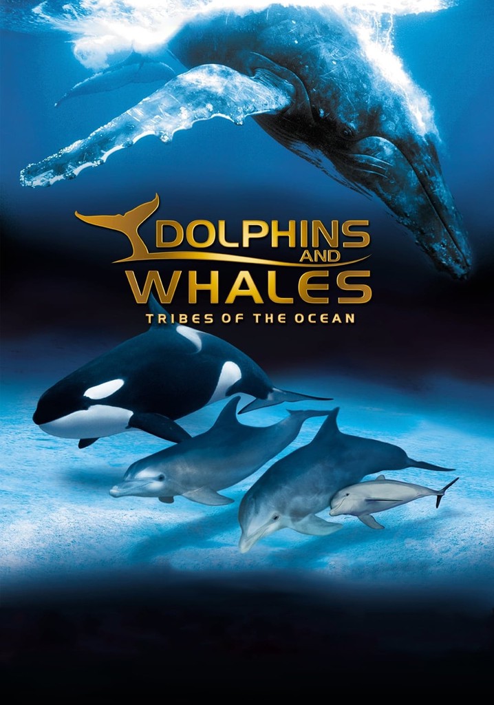 IMAX Dolphins and Whales: Tribes of the Ocean