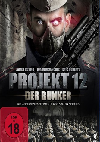 Projekt 12: Der Bunker