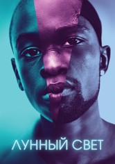 Лунный свет