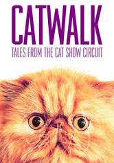 Catwalk: Tales from the Catshow Circuit