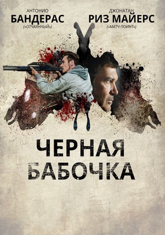 Черная бабочка