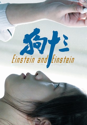 Einstein and Einstein