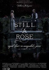 Still a Rose