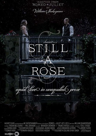 Still a Rose