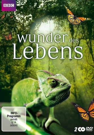 Wunder des Lebens