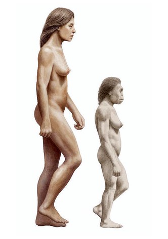 Horizon: The Mystery of the Human Hobbit