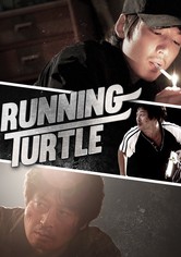 Running Turtle
