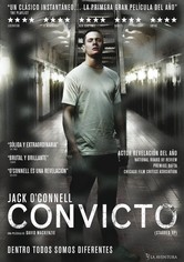 Convicto