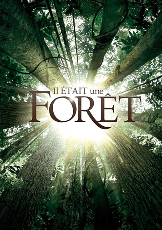 Il était une forêt