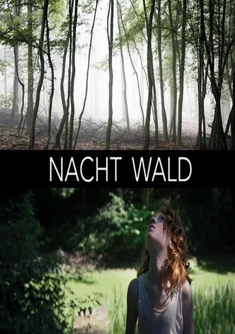 Nacht Wald