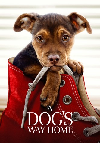 A dog's journey putlocker sale