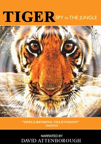 Tiger: Spy in the Jungle, Series 1