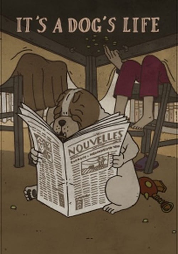 It's a Dog's Life