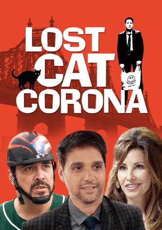 Lost Cat Corona