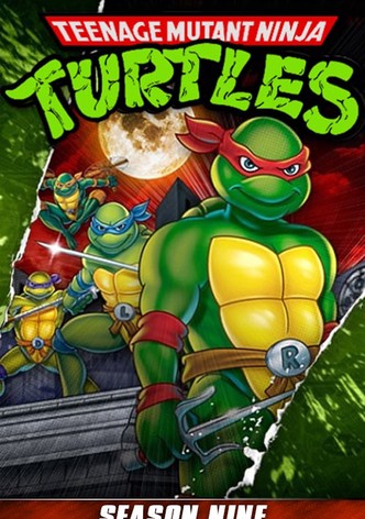 Watch Teenage Mutant Ninja Turtles Volume 4