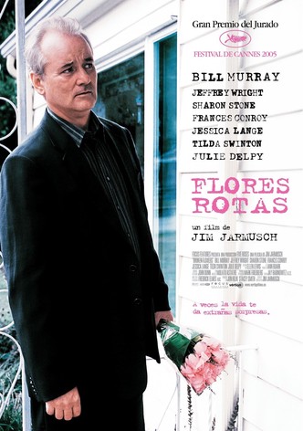 Flores rotas