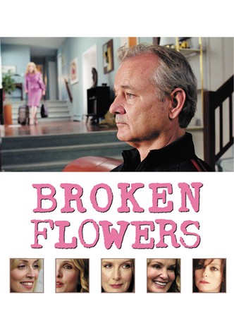 Broken Flowers - Blumen für die Ex