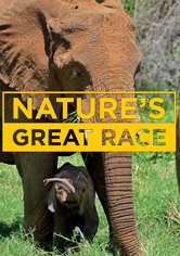 Nature's Epic Journeys