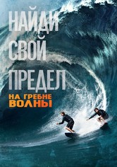 На гребне волны