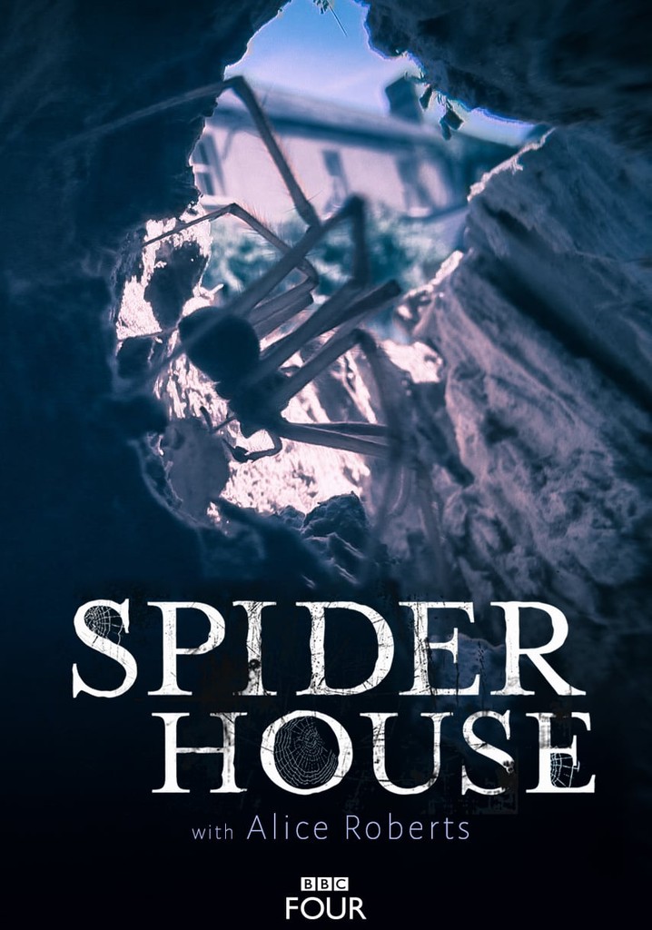Spider House