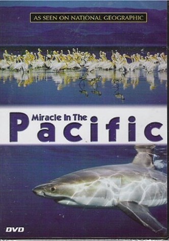 Miracle in the Pacific