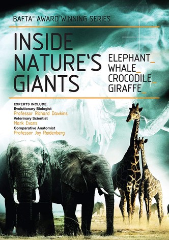 Inside Nature's Giants
