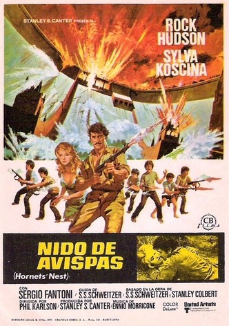 Nido de avispas