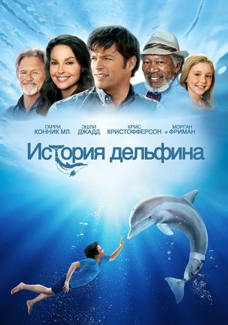 История дельфина
