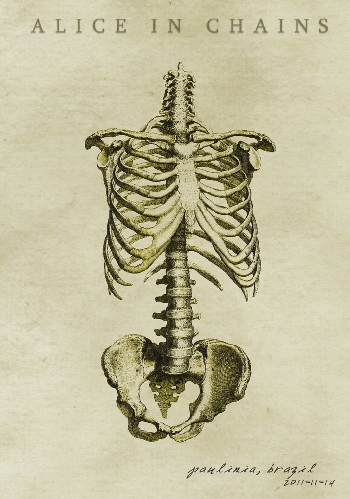 Alice in Chains: [2011] SWU Music & Arts Festival