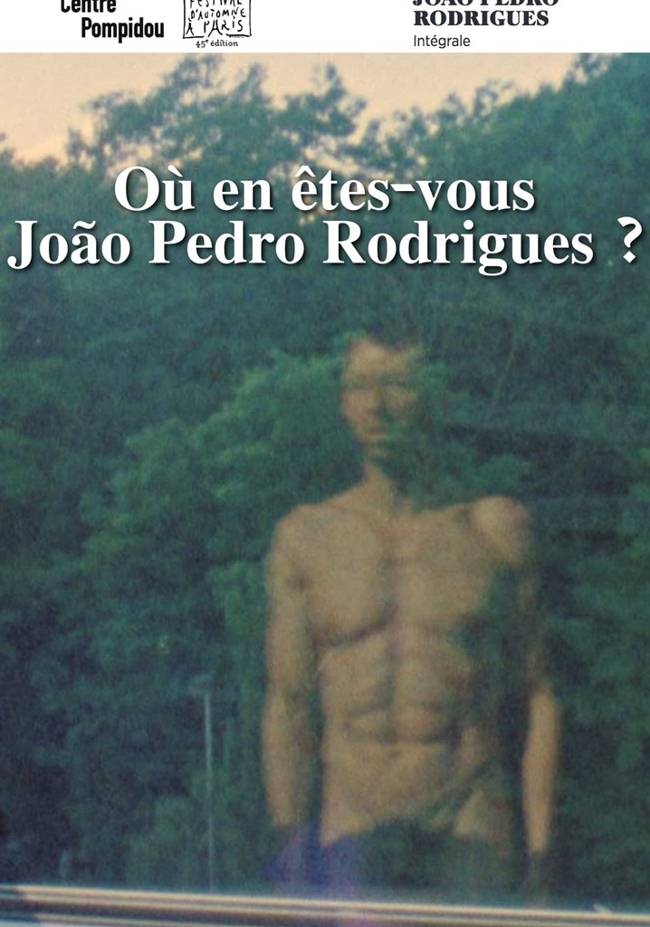 Where Do You Stand Now, João Pedro Rodrigues?