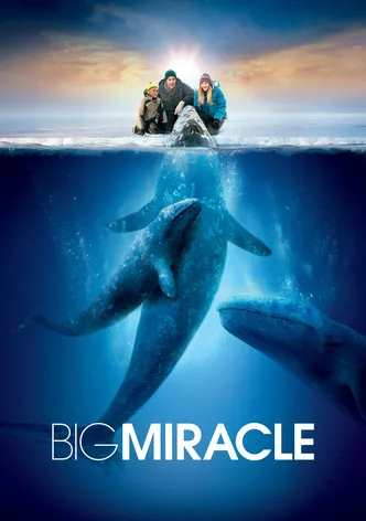 Big Miracle poster