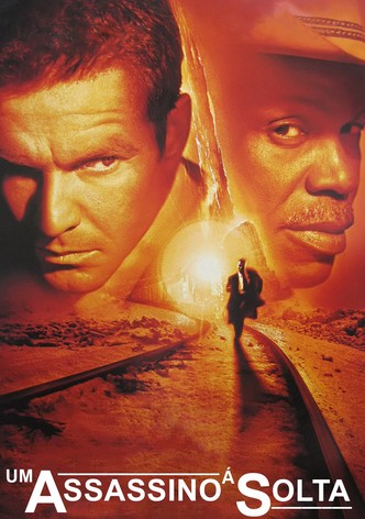 Um Assassino à Solta