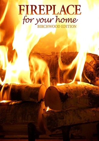 Fireplace for Your Home: Birchwood Edition