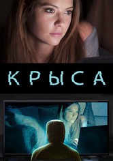 Крыса