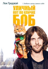 Уличный кот по кличке Боб