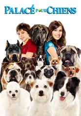 Palace pour chiens