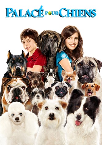 Palace pour chiens