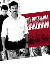 По волчьим законам