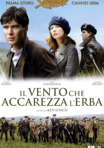 Il vento che accarezza l'erba