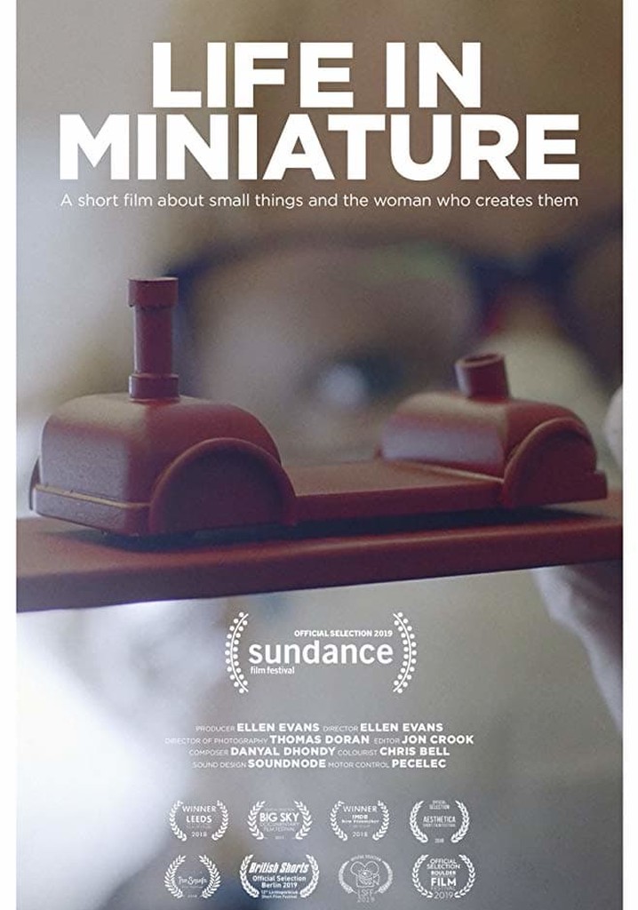 Life in Miniature