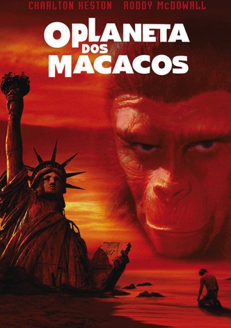 O Homem Que Veio do Futuro