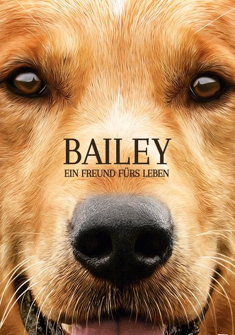 Bailey - Ein Freund fürs Leben