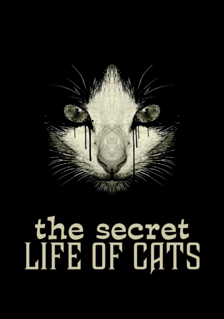 The Secret Life of Cats