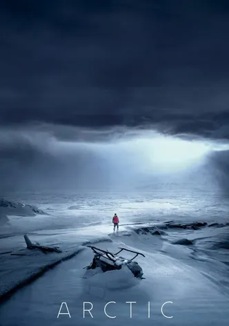 Arctic poster