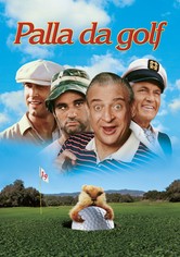 Palla da golf
