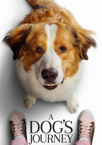 A dog's way on sale home full movie online